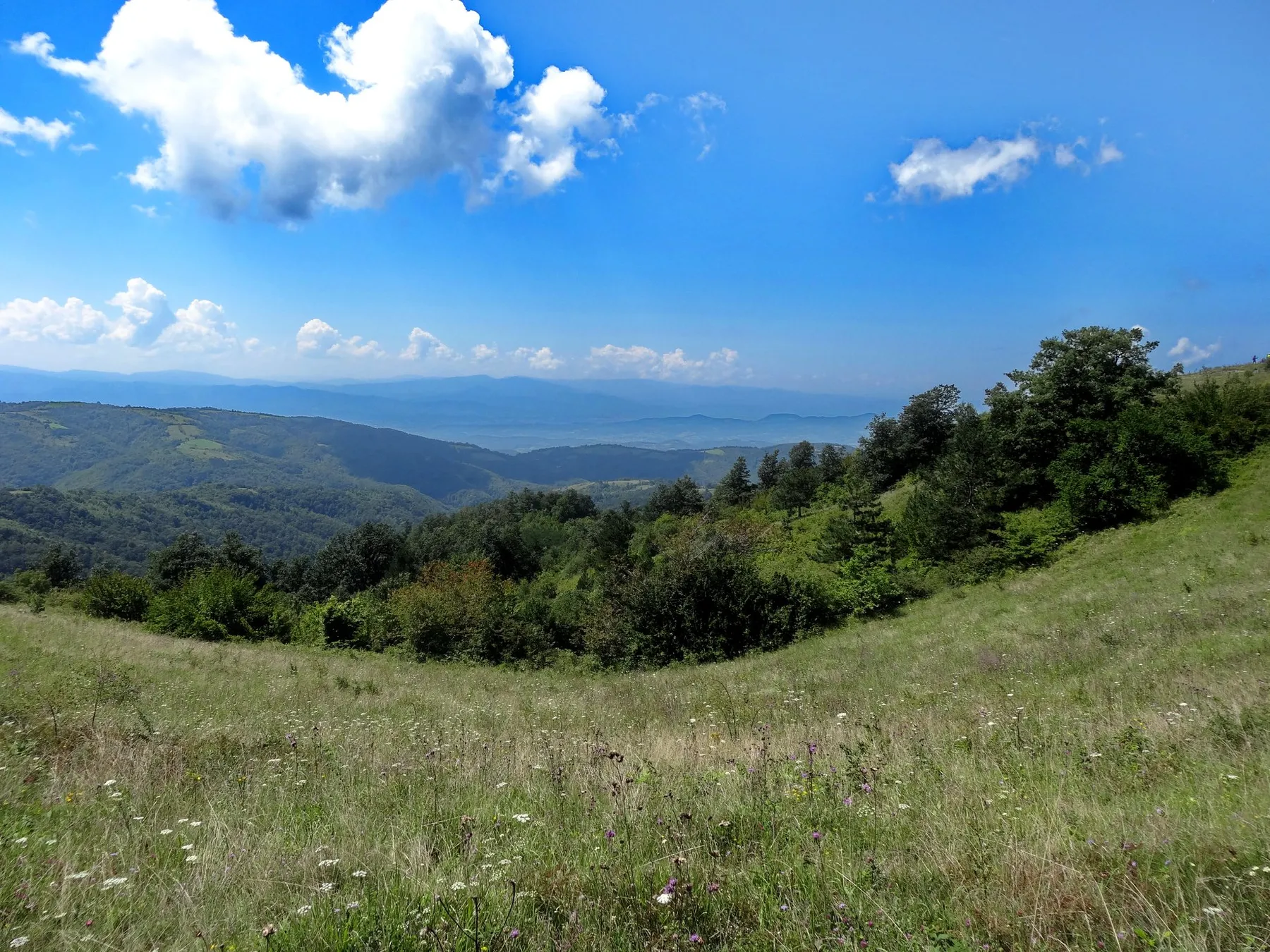Гледићке планине